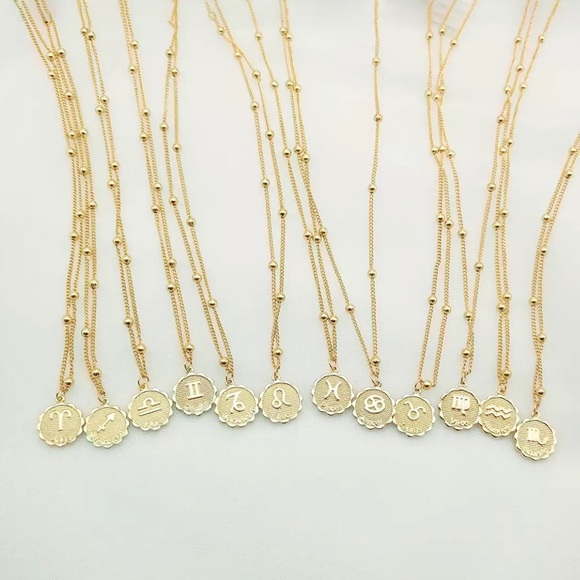 Scorpio Zodiac Coin Necklace - Picture 4 of 8